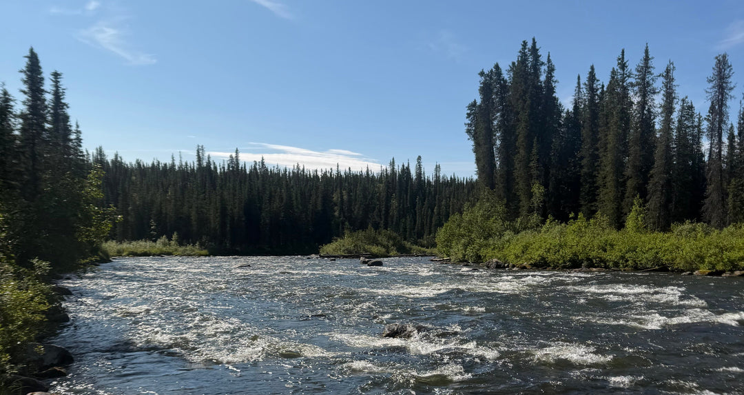 Copper River Valley Raft Trip: Class 2 to 3 Rapids, Low Water, and Grizzly Country