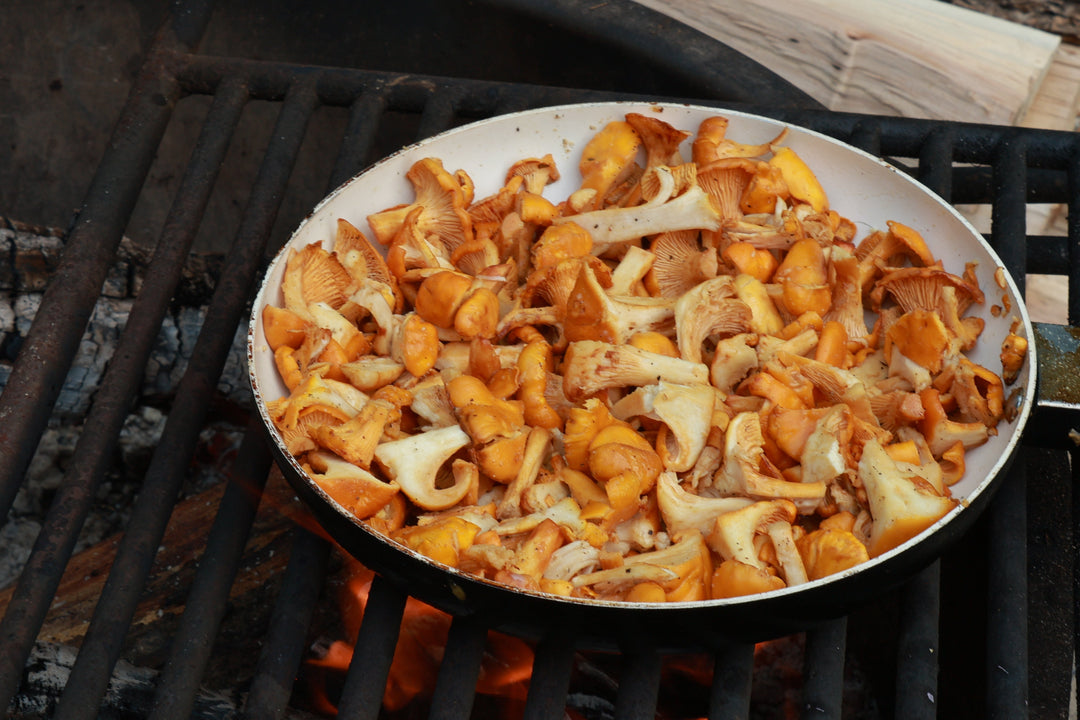 Foraging, Canoeing Lake Superior & Yooperlites | A Perfect Michigan Summer