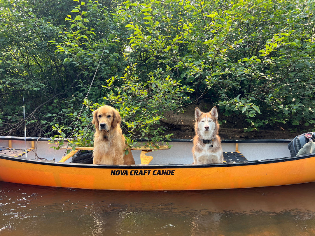 The Best Canoes for Tripping: Expedition vs. River (Our Two Canoe Setup)