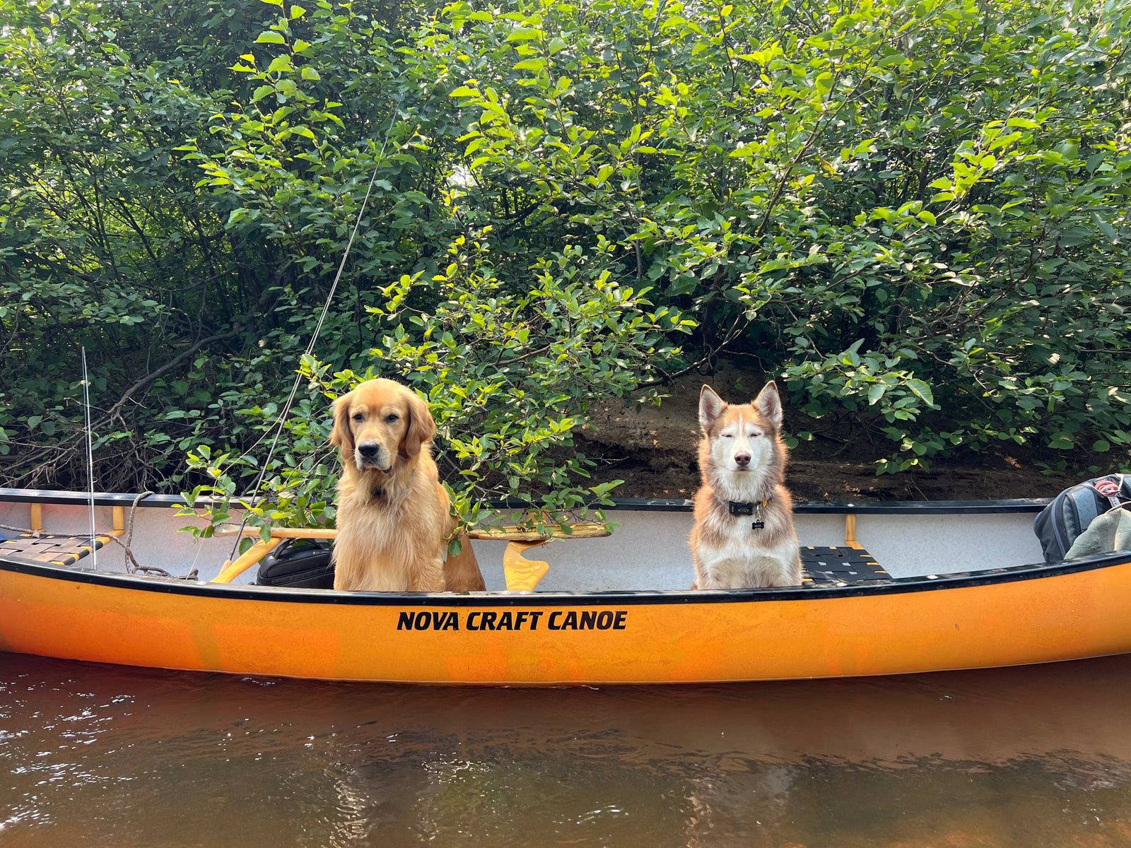 The Best Canoes for Tripping: Expedition vs. River (Our Two Canoe Setup)